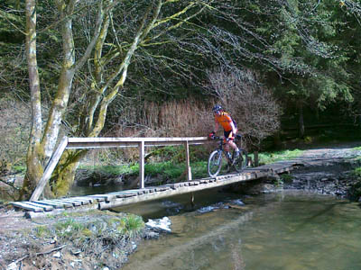 ardennen01.jpg ardennen01.jpg
